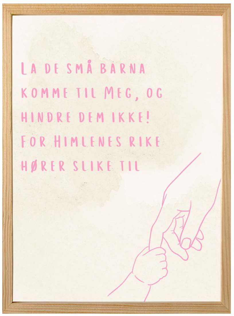 Matteus 19:14 - Rosa